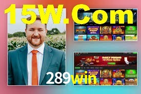 Premium Interface 289win