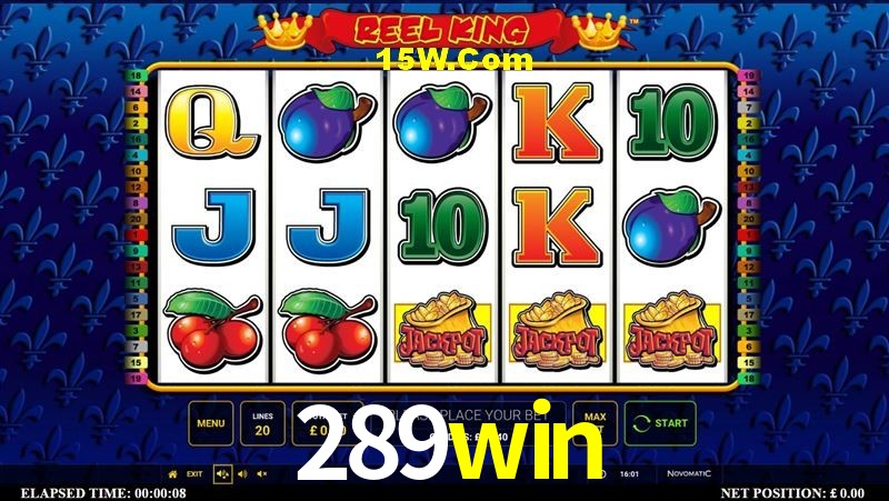 Experiência VIP 289win